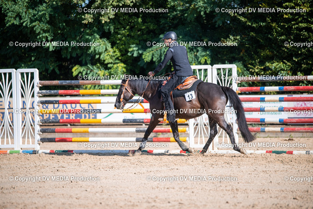 ZS1_0768 | dv-media-shop - Realized with Pictrs.com