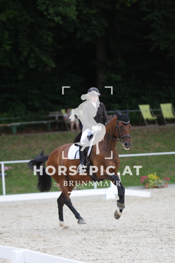 0P6A7318 | Willkommen bei Brunnmayr - Design & Fotografie – Ihrem Spezialisten für Reitturniere und Pferdeveranstaltungen in Oberösterreich, Salzburg und Bayern! Seit über 17 Jahren sind wir leidenschaftlich dabei.