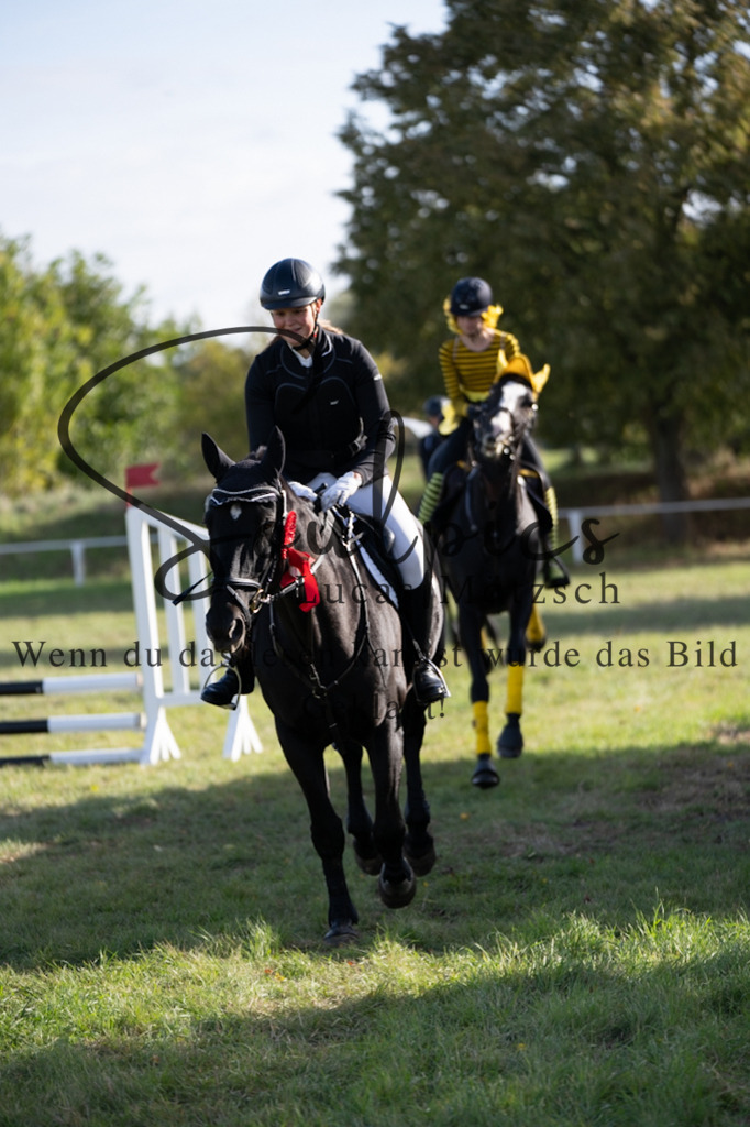 A7V06620 | Pferdefotograf