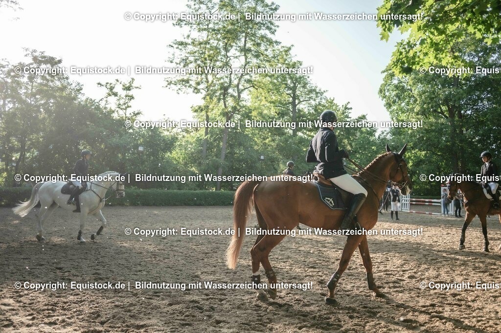 DSC_8690 | equistock