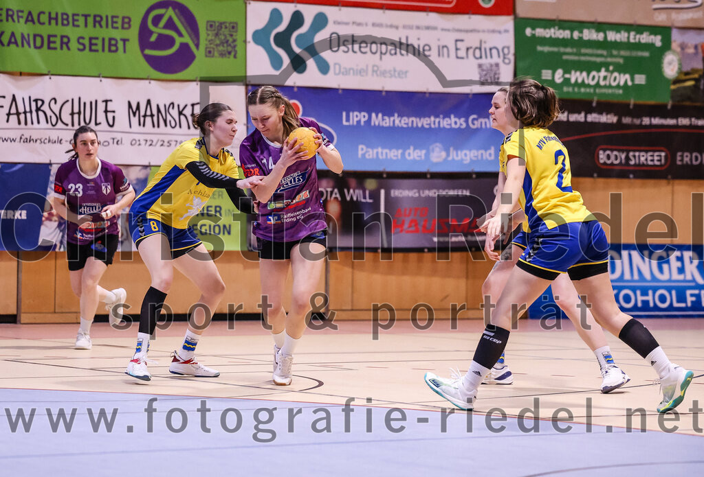 2025-02-15_019_SpVgg_Altenerding_gegen_MTV_Pfaffenhofen | Erding, Deutschland, 15.02.2025:Handball, Bezirksoberliga Frauen Altbayern 2024 / 2024, 14. Spieltag, SpVgg Altenerding gegen MTV Pfaffenhofen, Endergebnis: 27:23Katharina Künstner (SpVgg Altenerding, #23), Katharina Englisch (MTV Pfaffenhofen, #8), Sophie Lößl (SpVgg Altenerding, #14), Magdalena Scherer (MTV Pfaffenhofen, #2)Foto: Christian Riedel / fotografie-riedel.net