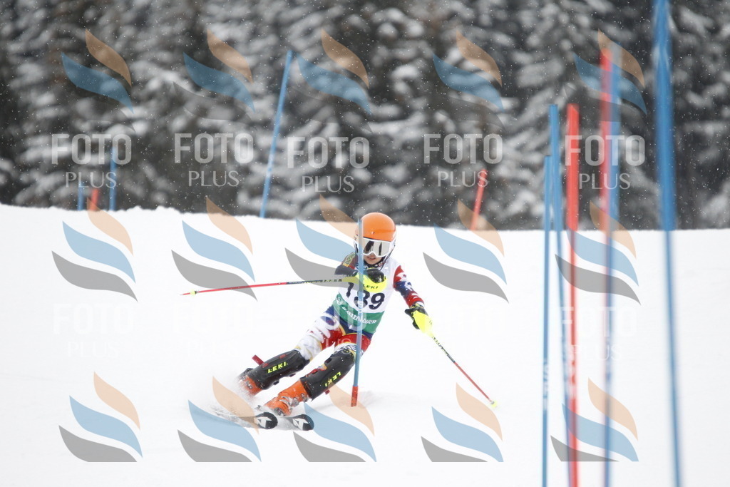 A2100 | holidayphoto