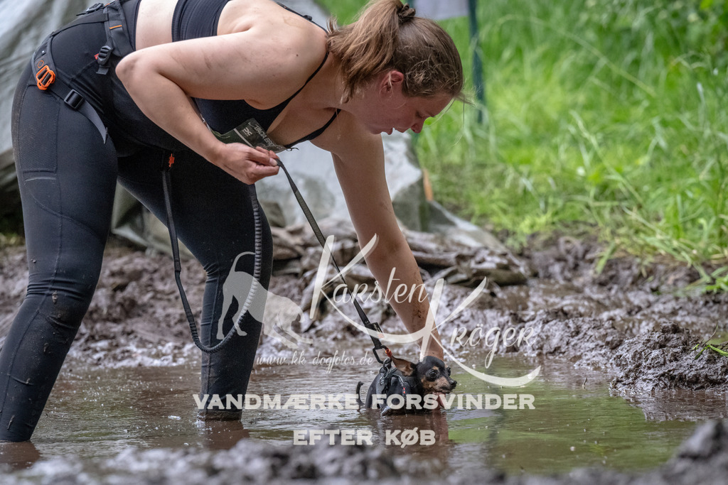 1606_ZZ92322-Bearbeitet | kk-dogfotos