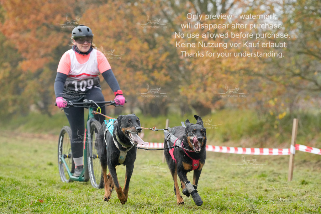 Visbeck_Sa_DS2DR2-91 | stephaniefillaphotographie - Realisiert mit Pictrs.com