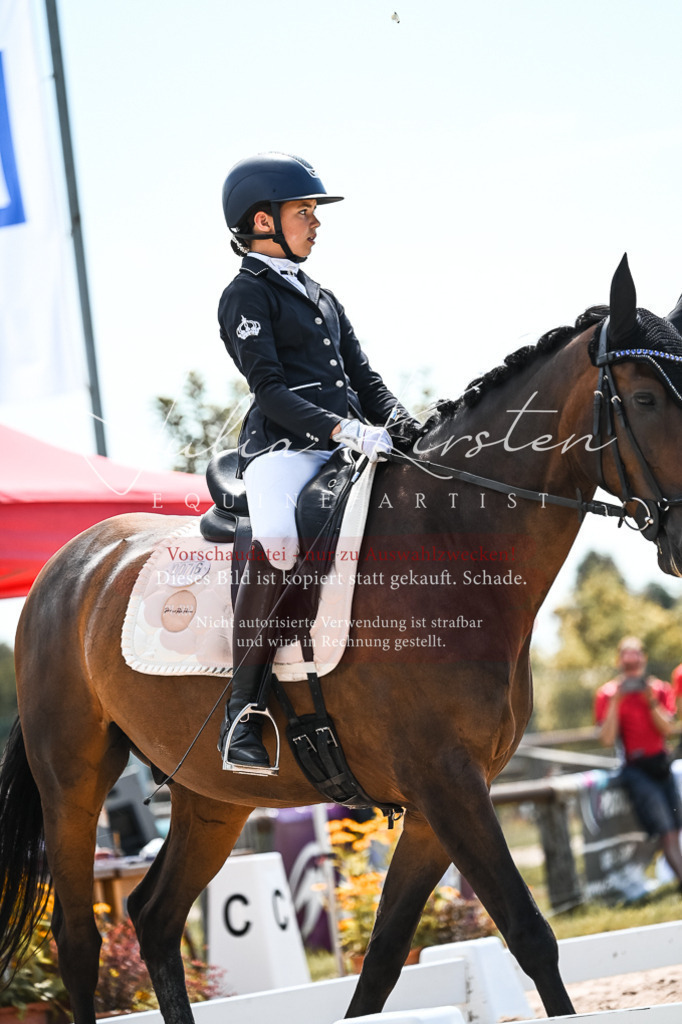 DSC_5763 | Pferde- und Turnierfotografie in Westsachsen. Pferdeportraits, Auftragszeichnungen und intuitive Kunst.
