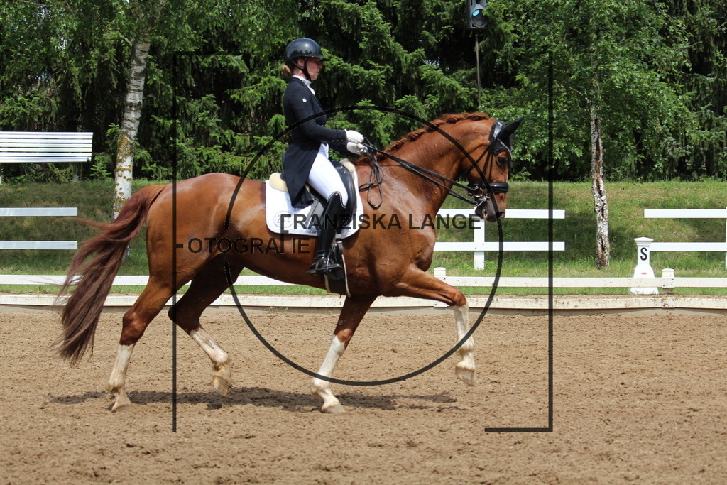 IMG_7991 | franziskalange - Realisiert mit Pictrs.com