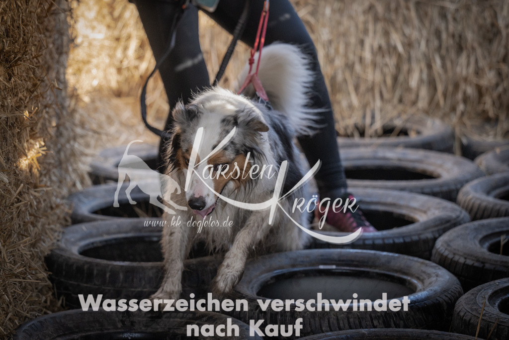 1142_ZZ92609 | kk-dogfotos