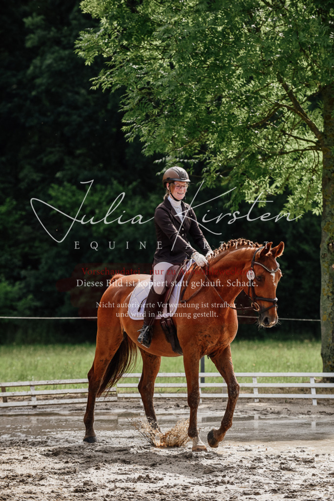 DSC_9655 | Pferde- und Turnierfotografie in Westsachsen. Pferdeportraits, Auftragszeichnungen und intuitive Kunst.