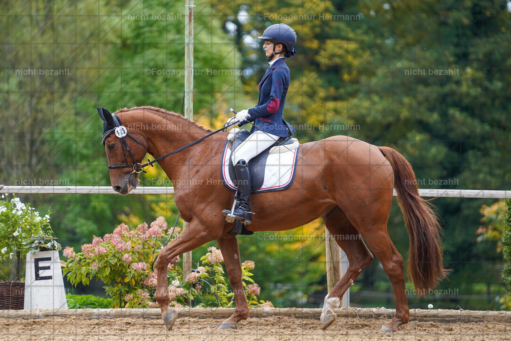 20221008-FAH01657 | Diessen am Ammersee, 2022, Dressur- und Springturnier, Reitsportbilder, Turnierfotografen Bayern, Pferdefotografen, Fotoagentur Herrmann, Turnierbilder