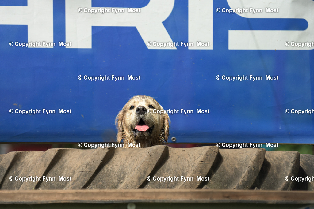 DSC_0013 | Hallo und herzlich Willkommen auf meiner Shop-Seite Fynn Most.

Ich wünsche Dir viel Spaß beim stöbern durch die Bilder, wenn Du Fragen hast oder Bilder vermisst, kannst du mir gerne eine Nachricht schreiben. - Realisiert mit Pictrs.com