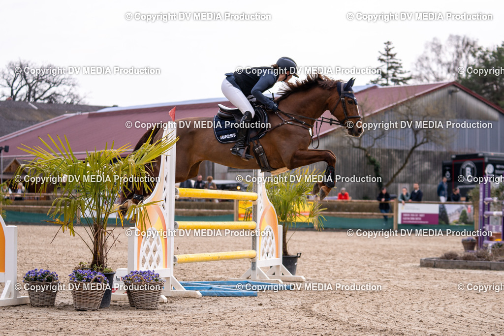 Kranichstein Tag 2-1878 | dv-media-shop - Realisiert mit Pictrs.com