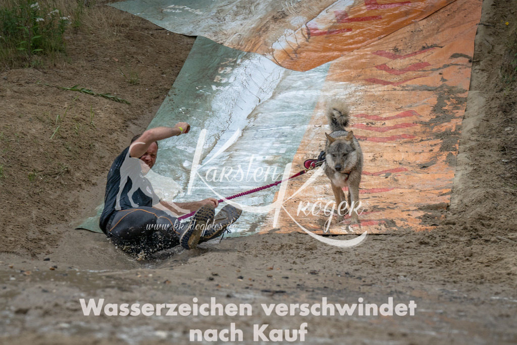 1649_ZZ90479-Bearbeitet | kk-dogfotos