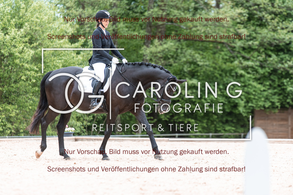 DSC_6904 | Turnierfotografin Carolin Gieschke,Reitsport Turnierfotografie Carolin G Fotografie | Turnierfotos aus Kirchheim/Teck, Esslingen, Stuttgart und dem Bodenseekreis