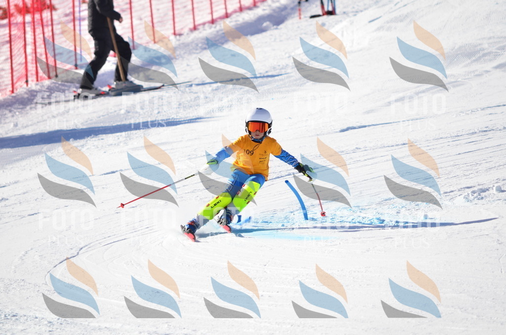 C6260 | holidayphoto