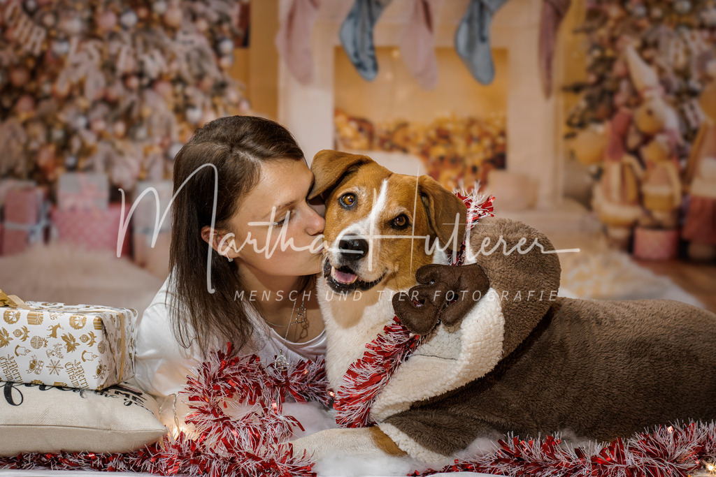 Weihnachts Minis  | Emotionale Mensch und Tier Fotografin. Aus Gösing am Wagram, zwischen Tulln und Krems an der Donau. 