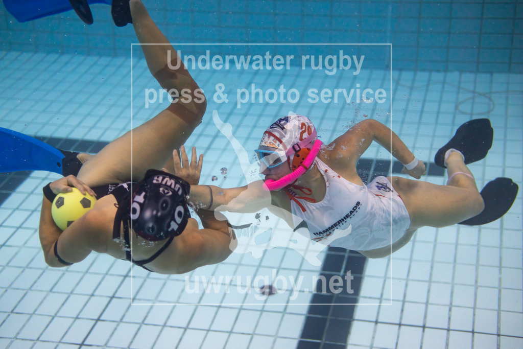 24. - 26.11.2023: Unterwasser-Rugby Champions Cup 2023  | Damen-Spiel: Tauchclub Stuttgart (Deutschland) in blau gegen NJ Hammerheads (USA) in weiß. Marcela Bulla von den NJ Hammerheads (#29) versucht den Ball von der Stuttgarterin Tanja Ringelmann (#10). - Realisiert mit Pictrs.com