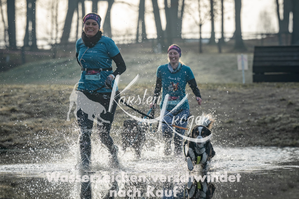 0827_ZZ97209 | kk-dogfotos