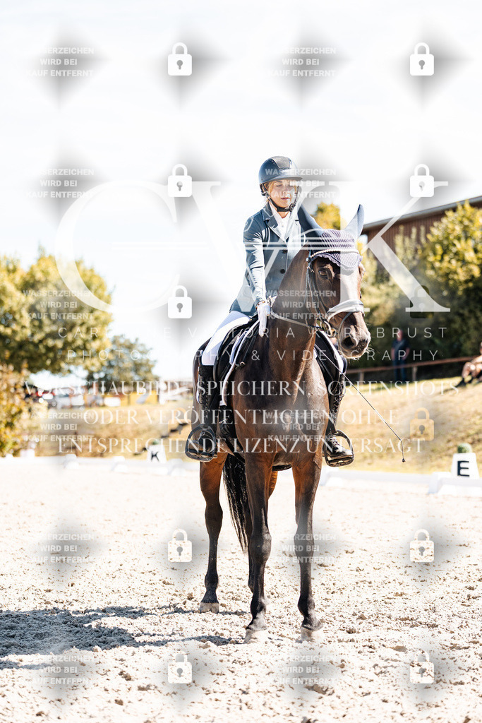 CK909847 | Turnierfotografie Pferdefotografie Trier Rheinland-Pfalz Pferdesport Reitsport Tierfotografie Sportfotografie Pferdevideo Pferdevideografie Equestrianvideography equestrianphotography  - Realisiert mit Pictrs.com