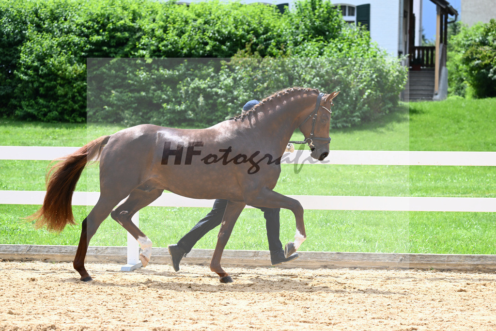 Valenziano_27140758 | hf-fotografie - Realisiert mit Pictrs.com