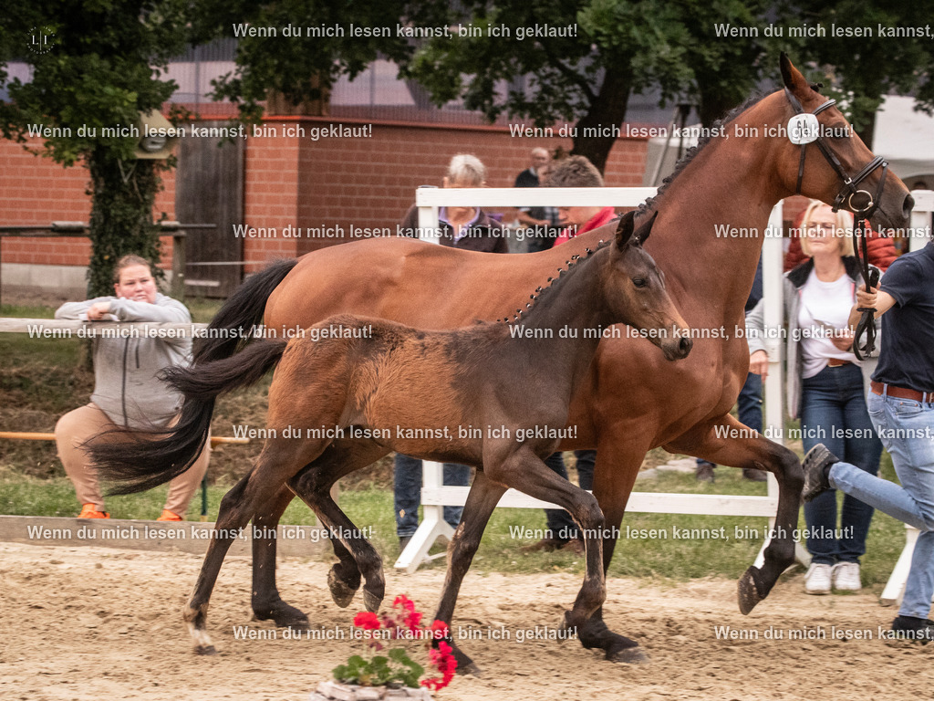 A10I6563 | photographylinaismer - Realisiert mit Pictrs.com
