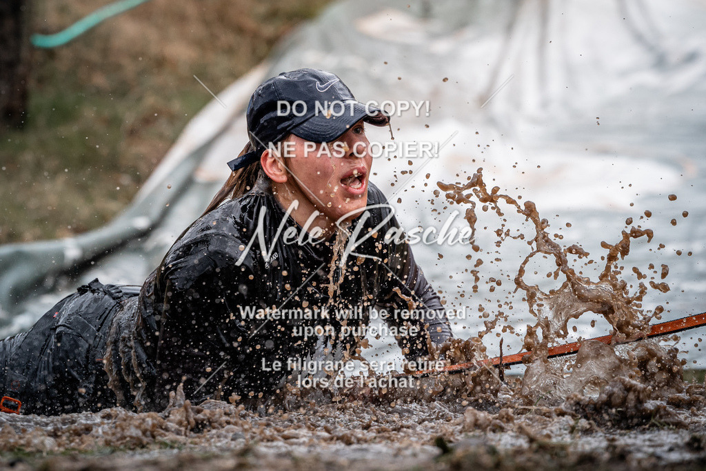 nelerasche_1130-1230_22 | nelerasche