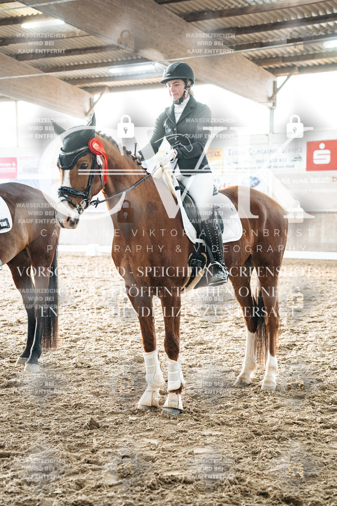 CK703164 | Turnierfotografie Pferdefotografie Trier Rheinland-Pfalz Pferdesport Reitsport Tierfotografie Sportfotografie Pferdevideo Pferdevideografie Equestrianvideography equestrianphotography  - Realisiert mit Pictrs.com