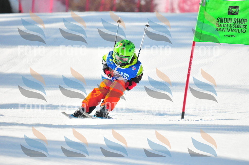 B9065 | holidayphoto