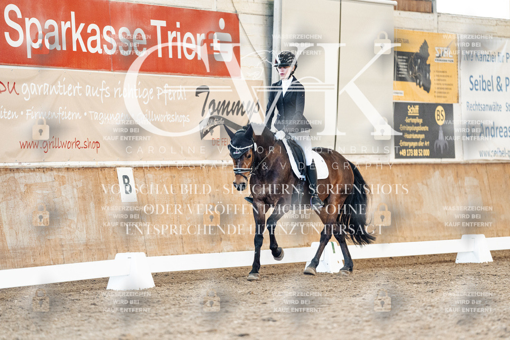CK908103 | Turnierfotografie Pferdefotografie Trier Rheinland-Pfalz Pferdesport Reitsport Tierfotografie Sportfotografie Pferdevideo Pferdevideografie Equestrianvideography equestrianphotography  - Realisiert mit Pictrs.com