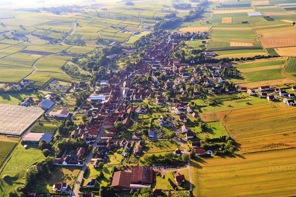 Luftbild: Ortsansicht aus Nordwesten in Steinseltz im Bundesland Bas-Rhin in Frankreich. – Foto: IMG_089952.jpg vom 26.06.2016 durch Werner Riehm/FLY-FOTO.de – Auflösung des Originals: 5472 x 3648 px