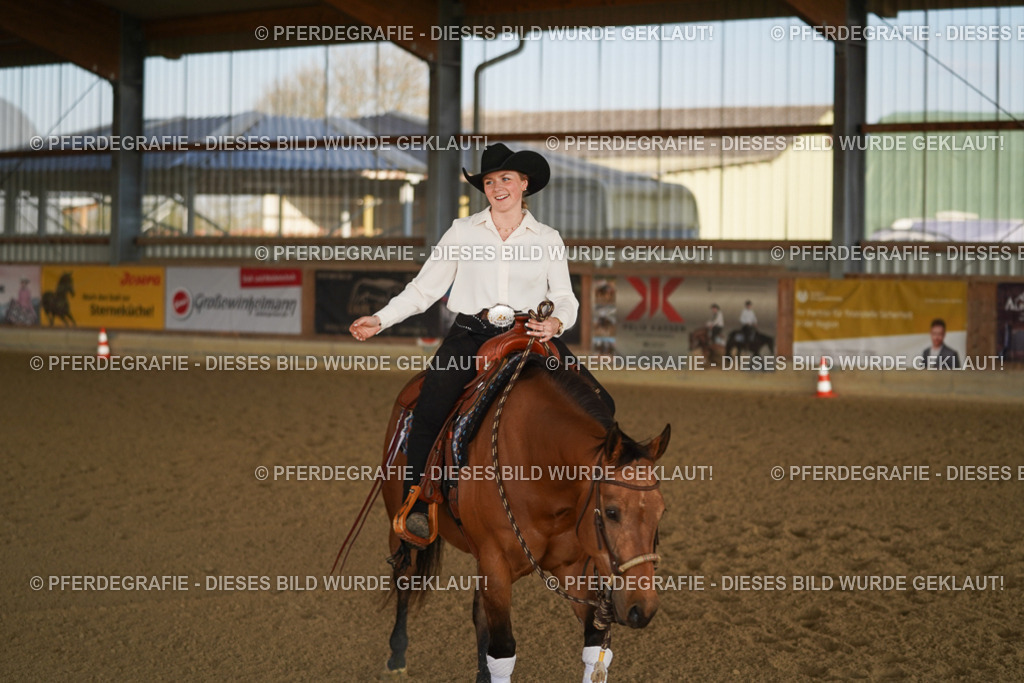 DSC08678 | Pferdegrafie