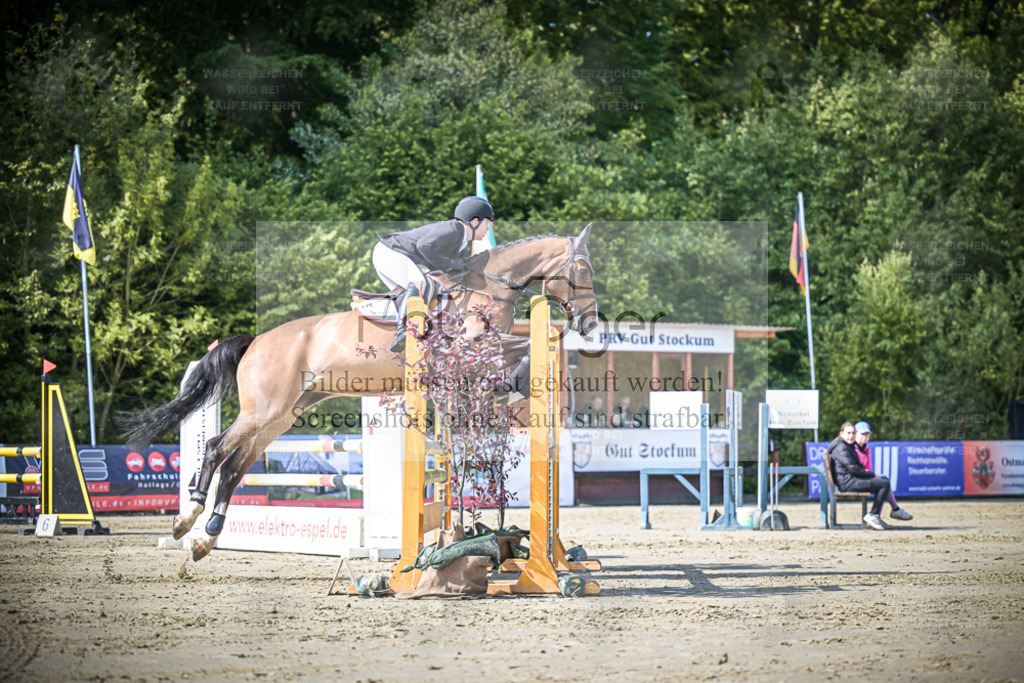 DOS_3614 | Entdecke hochwertige Reitturnierfotos von Foto Oger. Professionell, emotional und authentisch – jetzt Lieblingsmomente im Shop bestellen. - Realisiert mit Pictrs.com