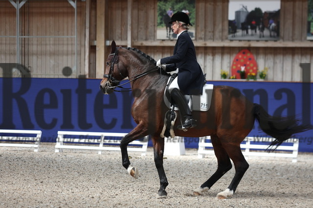 Zeutern_2023_Dressur_Kl.S_Prix St.Georges_Amateure_Patricia Borst_Quirina 22 (8) | Alle Fotos der Reiterjournal Fotografin Doris Matthaes im Reiterjournal Online-Fotoshop. - Realisiert mit Pictrs.com