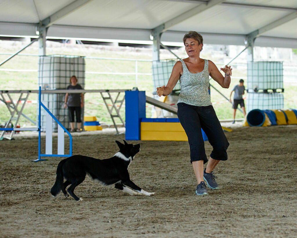 580A0223 | Peter Fridle Fotografie - Realisiert mit Pictrs.com