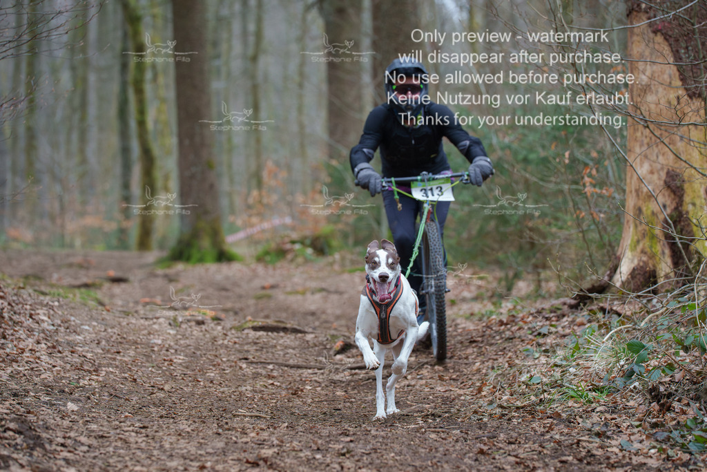 Scooter_So-119 | stephaniefillaphotographie - Realisiert mit Pictrs.com