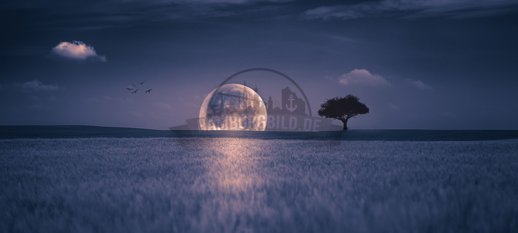 stativkunst-688 | Exklusive Hamburg collagen, tolle Segelbilder und viele weitere tolle Motive auf Leinwand, Poster, Alu-Dibond, u.v.m. findet Ihr bei uns auf hamburgbild.de. Findet Euer Wandbild für Euer Zuhause, Büro oder die  Praxis…. - Realisiert mit Pictrs.com