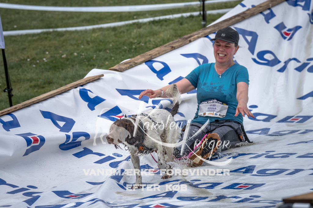 1144_ZZ93677 | kk-dogfotos