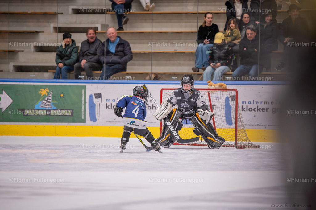 DSC_1665 | "Fussifoto.com – Ihr Ansprechpartner für hochwertige Fotografie! Entdecken Sie kreative Bilder und professionelle Dienstleistungen. Kontaktieren Sie uns für Ihre Projekte!"