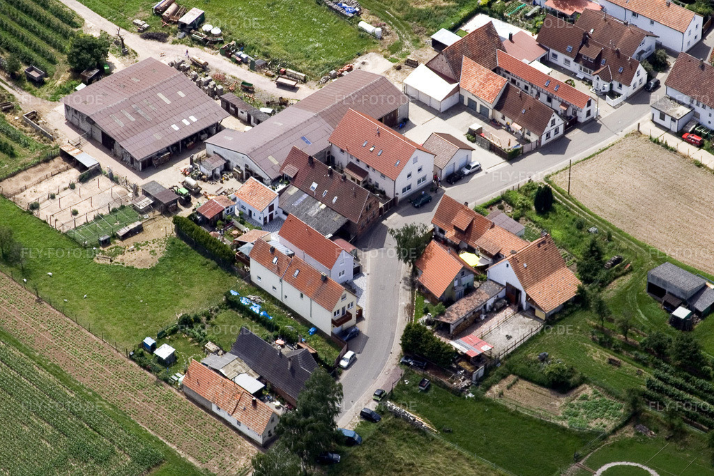 Luftbild: Wiesenstr im Ortsteil Mühlhofen in Billigheim-Ingenheim im Bundesland Rheinland-Pfalz in Deutschland. Foto: IMG_11214.jpg vom 14.06.2008 durch Werner Riehm/FLY-FOTO.de