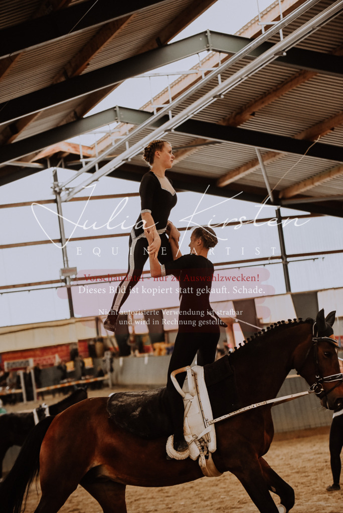 DSC_6918 | Pferde- und Turnierfotografie in Westsachsen. Pferdeportraits, Auftragszeichnungen und intuitive Kunst.