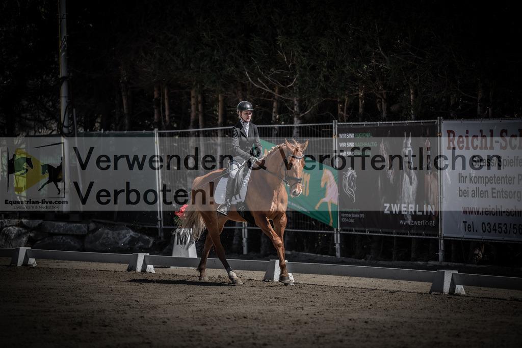 DSC_0055 | equestrian-live-com