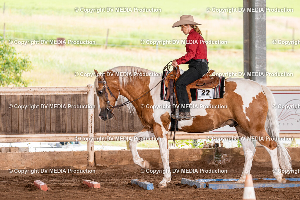 Erbach Tag 2-349 | dv-media-shop - Realisiert mit Pictrs.com