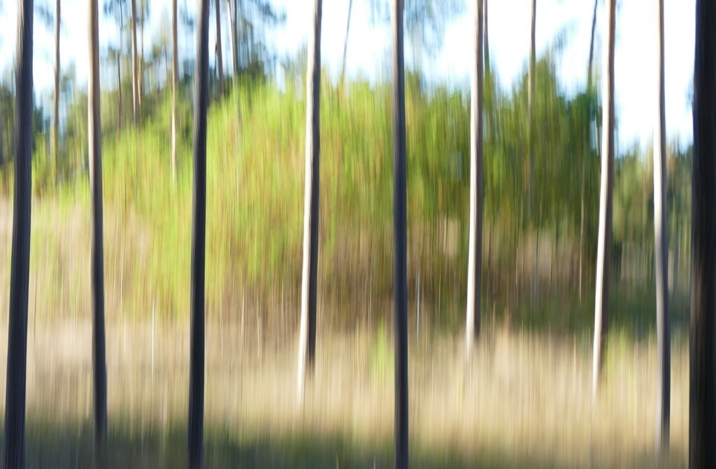 P4050742_a | Annaeherungen - Realisiert mit Pictrs.com