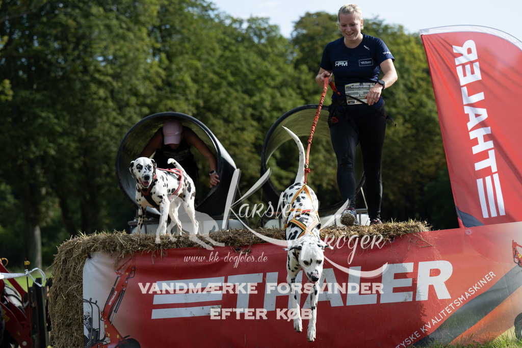 0932_ZZ90601 | kk-dogfotos