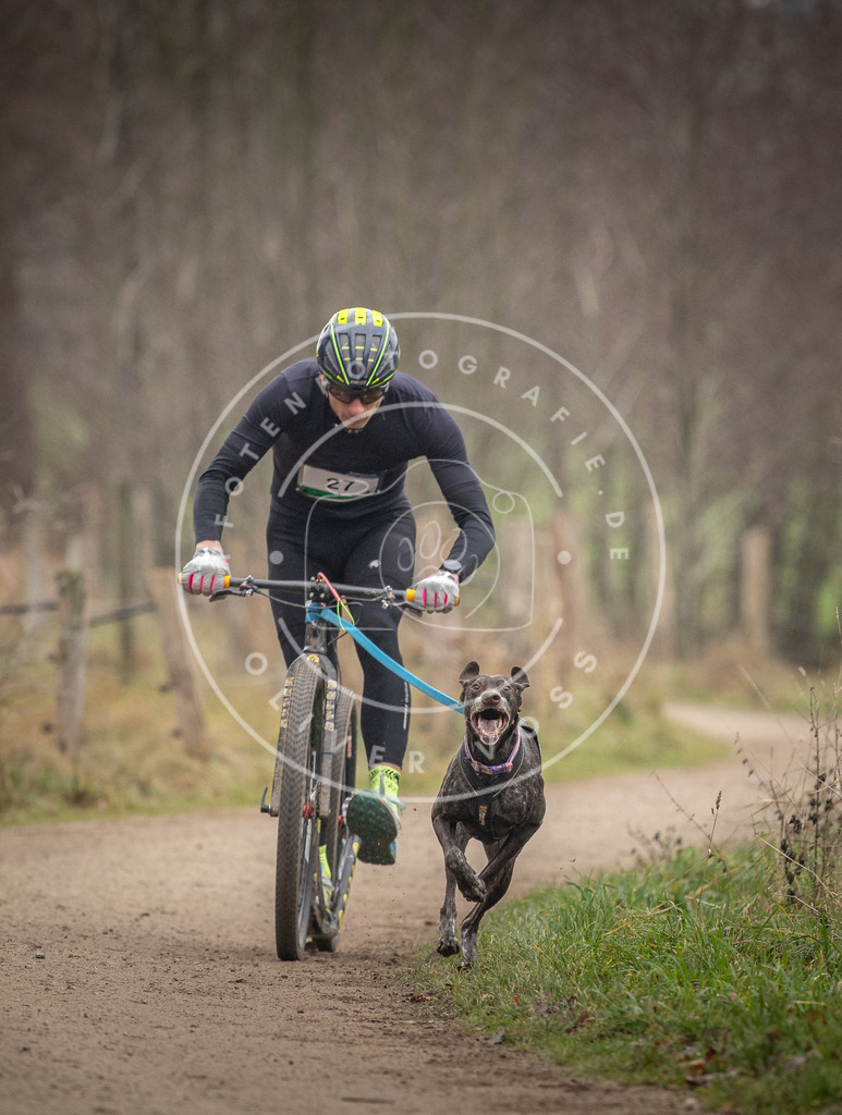 Pfotenfotografie_DV3A2140 | Hundefotografie, Tierfotograf, Pfotenfotografie, Fotoshooting Hund, Hunde Portrait, Hundesport, Hundeportraits, Heideshooting, Hunde, Sportfotograf, Hundefotograf, Turnierhundsport, THS,  - Realisiert mit Pictrs.com