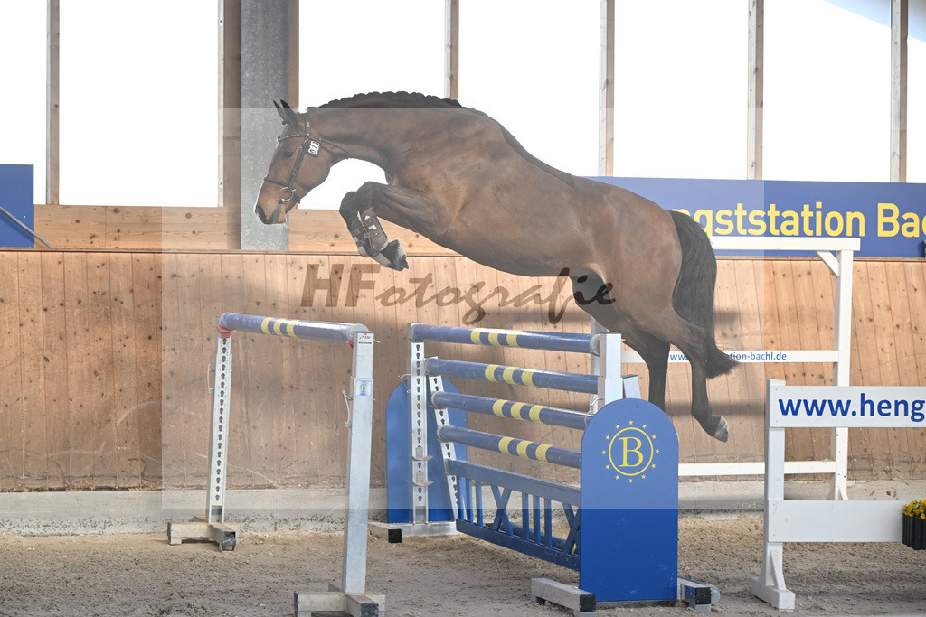 Kat-Nr. 28 Vintl B v. Vigaro_Rau_14262028 | hf-fotografie - Realizzato con Pictrs.com