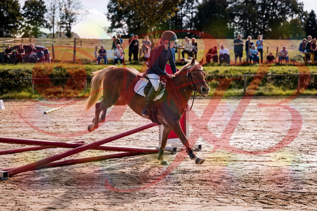 2026_10_03_Siefer-Hof_144650_Z81_23004377 | Professionelle Reitsport-, Turnier- und Eventfotografie von Robert Broda. Galerien mit ausgewählten und bearbeiteten Bildern direkt online ansehen und bestellen.