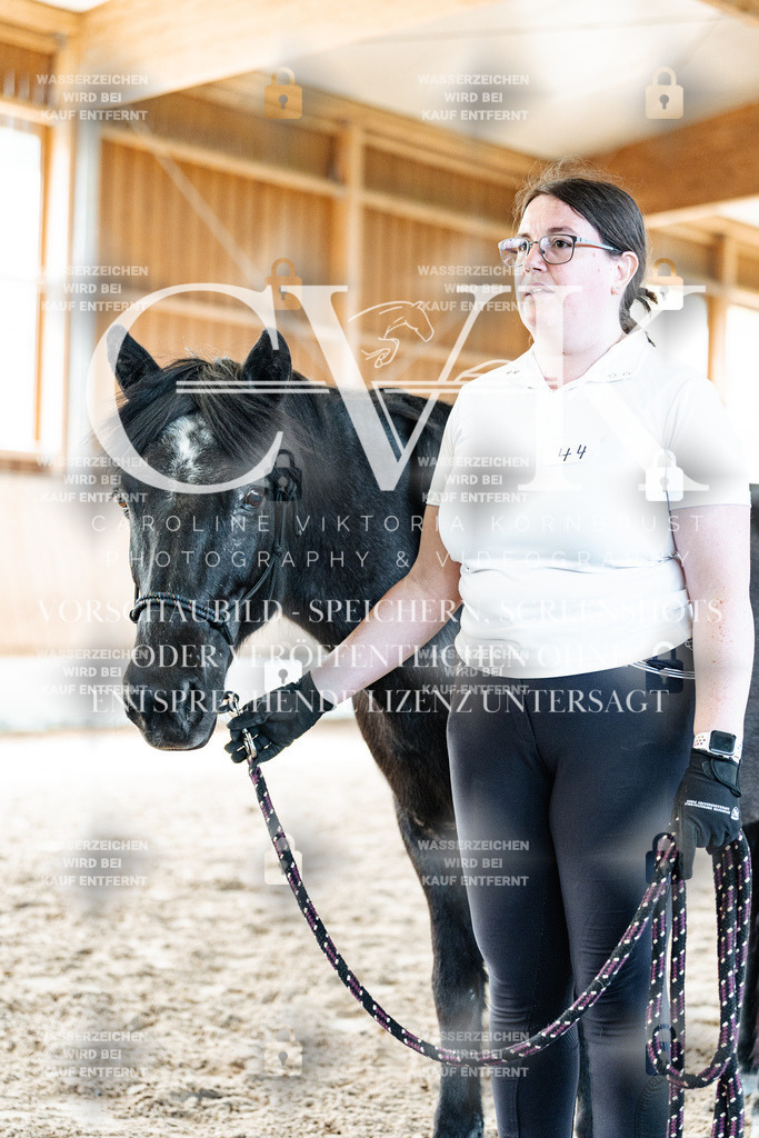 CK906550 | Turnierfotografie Pferdefotografie Trier Rheinland-Pfalz Pferdesport Reitsport Tierfotografie Sportfotografie Pferdevideo Pferdevideografie Equestrianvideography equestrianphotography  - Realisiert mit Pictrs.com