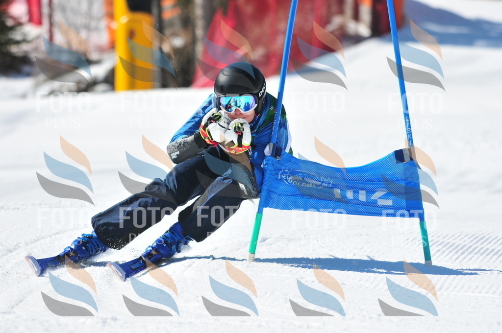 C3473 | holidayphoto