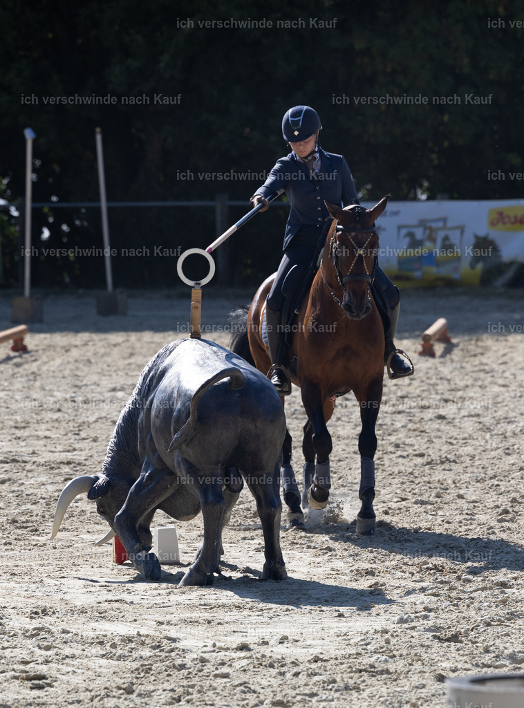 WS_StilTail_46_KerstinBernhardt-9 | working equitationturnier fotograf videograf stoibphotography marixx film working equitation deutschland reitsport turnierfotografie eventfotografie equestrian events