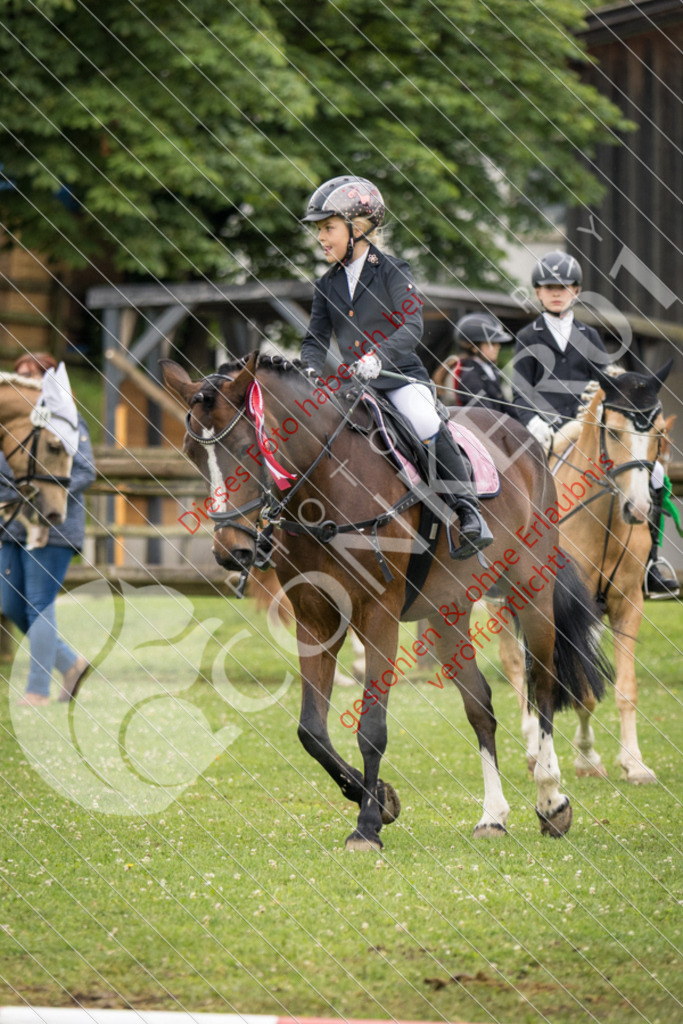 IMG_1963 | Sport-, Event- und Tierfotos in Profiqualität. Einfach auswählen, bestellen und herunterladen. Dein Moment – perfekt festgehalten.